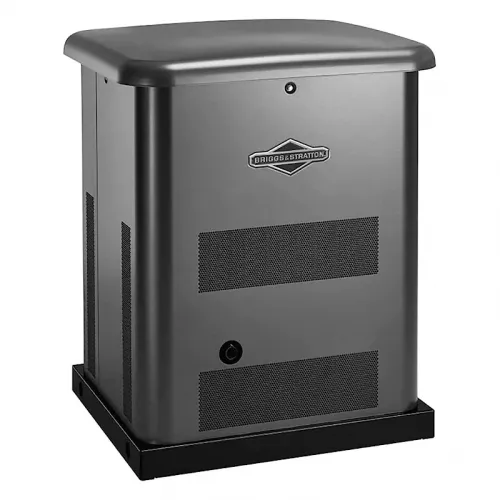 Briggs & Stratton G80 газовый генератор 40495