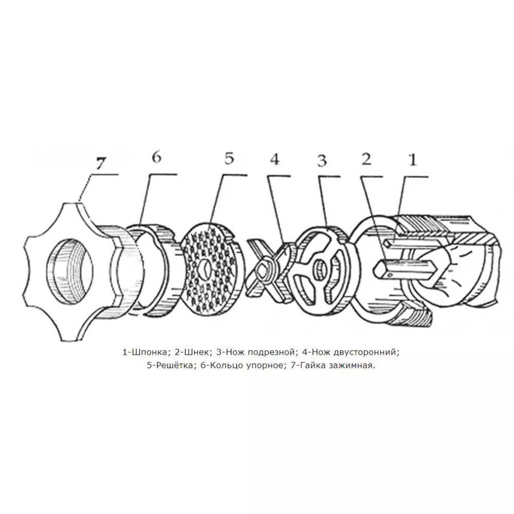 Мясорубка Торгмаш МИМ-80